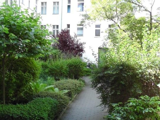 WG Zimmer - ein gemütliches Paradies im Prenzlauer Berg