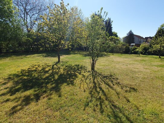 Schönes erschlossenes Baugrundstück ca. 1104m² in 29389 Bad Bodenteich