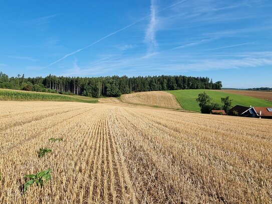 landwirtschaftliche Ackerflächen in Johanniskirchen