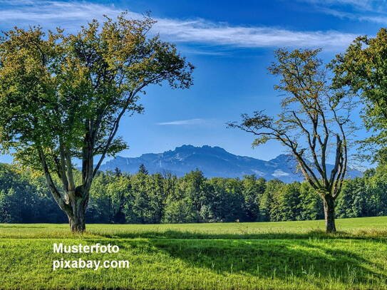 IHR DOMIZIL IN TRAUMLAGE ! Sonnen-verwöhntes Anwesen & wunderschöner Bergblick