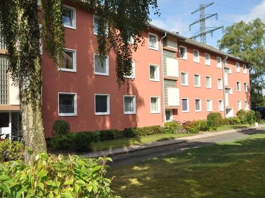 Erstbezug nach Modernisierung - Helle 2,5-Zimmerwohnung mit Balkon