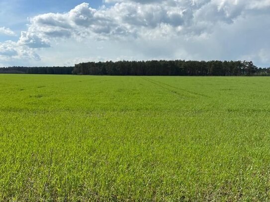 3,9 ha Ackerland Nähe Gardelegen