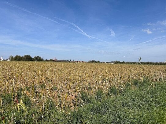 Ackerfläche - Ideal für Landwirte oder Spekulanten!