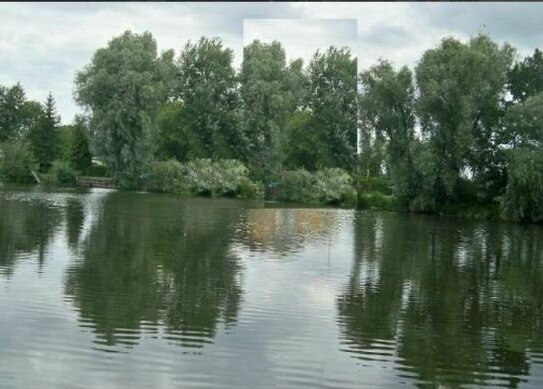 Grünfläche, Mischwald DIREKT am See, 20 m von der Havel entfernt, in Groß Kreutz