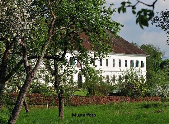 Einfamilienhaus mit div. Nebengebäuden