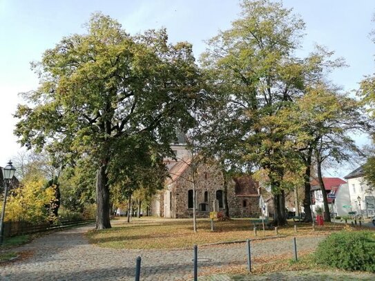 Stadtnah im Grünen - neues Doppelhausprojekt in Schönerlinde