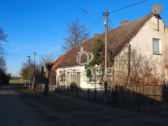 ***Bauernhaus mit viel Nebengelass und Potential in idyllischem Dorf Mecklenburgs***