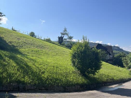 Baugrundstück in Oberkirch-Ringelbach mit Panoramablick