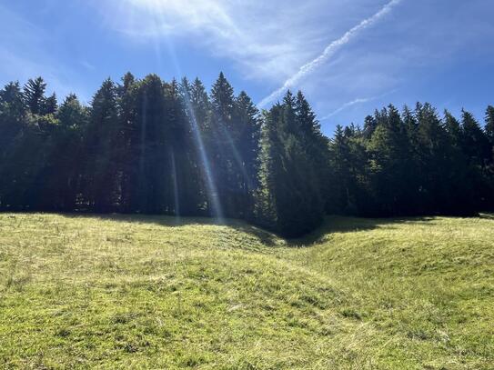 WERDEN SIE WALDBESITZER!!! Waldgrundstück in Oberstaufen