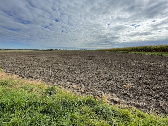 Landwirtschaftliche Fläche in Dülmen