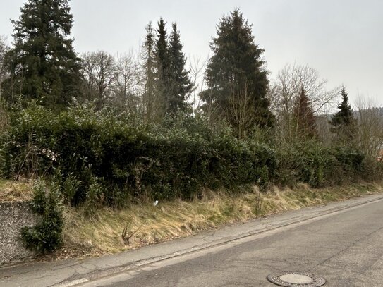 Baugrundstück in Waldrandlage in St. Ingbert-Reichenbrunn zu verkaufen