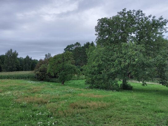 Großes Grundstück in Dobin am See