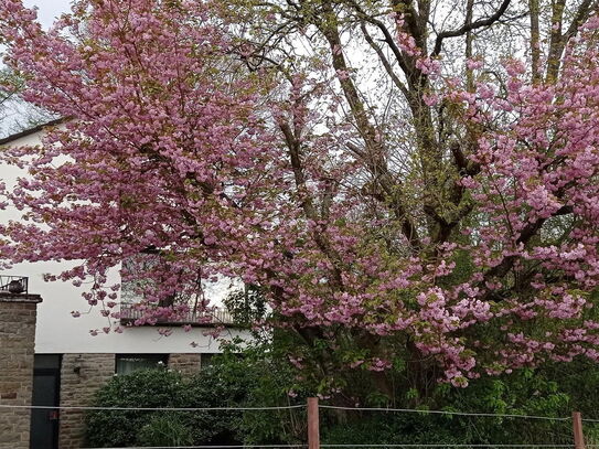 Preissenkung !Naturnahes Einfamilienhaus mit separater Einliegerwohnung