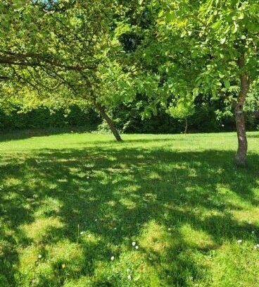 3,5-Zimmer-Wohnung mit Gartennutzung Rottenburg a. d. Laaber