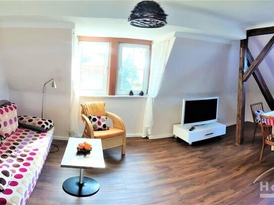 Möbliert / Furnished 2-Zimmer Apartment in Dresden - Radebeul 2 Personen