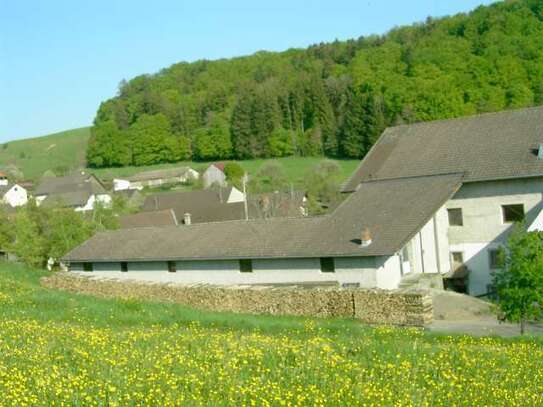 Landwirtschaftlicher Hof mit großzügigem Landhaus in traumhafter, leicht erhöhter Lage