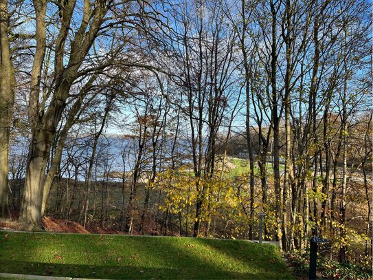 Exklusivität zwischen Wald und Meer in besonderer Lage von Glücksburg