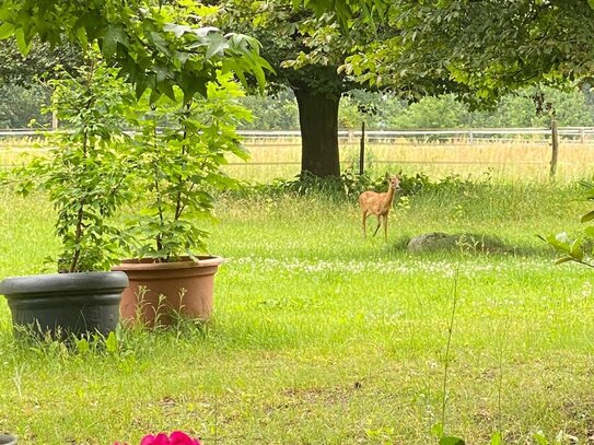 Wohnen im Grünen !