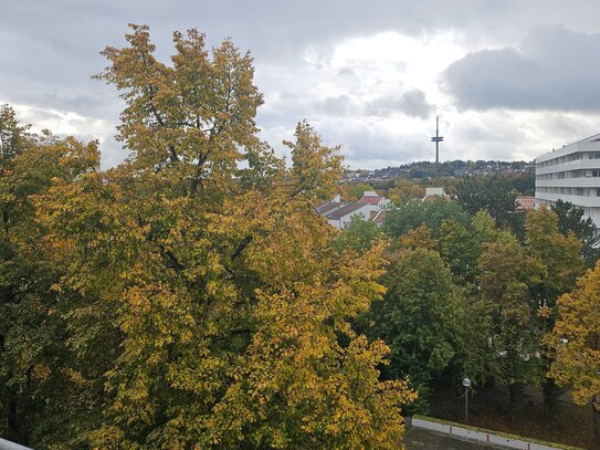 Unverbaubare Mietwohnung mit herrlicher Aussicht