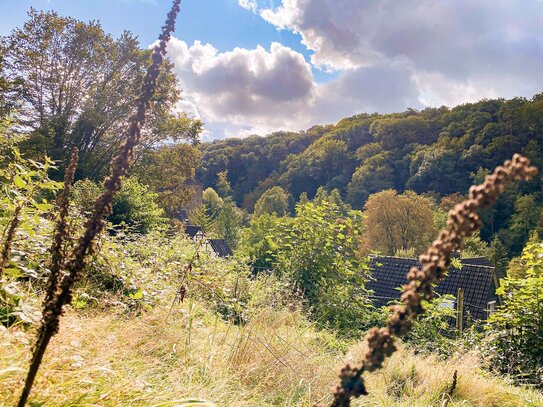 Sonnengrundstück in Solingen-Burg, Hanglage