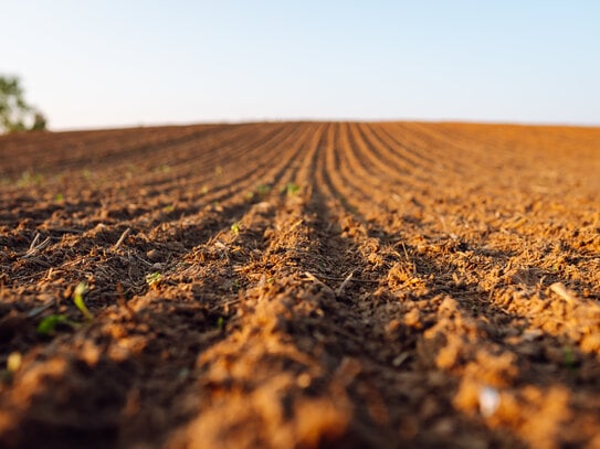 Landwirtschaftliche Grundstücke in Hirrlingen