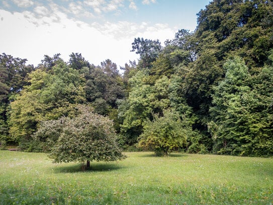 Bis 1238 qm in Seenähe und direkt am Wald: Ruhiges Baugrundstück in Stolzenhagen