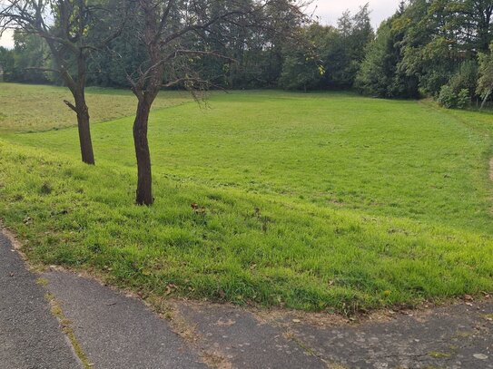 Grundstück mit unverbaubarem Blick in die Natur