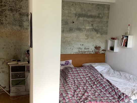 Ruhiges Zimmer in charmantem Haus mit Garten, citynah, 15 Min. zur Innenstadt, WLAN, Etagendusche/WC, Waschmaschine, Kü…