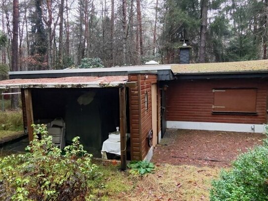 Für Individualisten die es lieben ihre Freizeit im Wald zu verbringen.