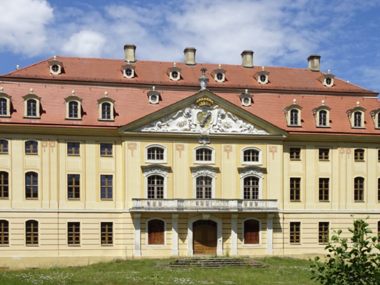 REPRÄSENTATIVE GEWERBEFLÄCHE im Schloss Wachau - großer historsicher Raum mit Balkon