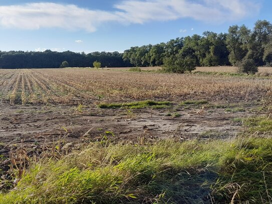 5,6 ha Gewerbeerwartungsland bei Tangermünde