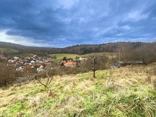 RUHE! SONNE! NATUR! - WEITLÄUFIGES BAUGRUNDSTÜCK (AUCH TEILBAR)