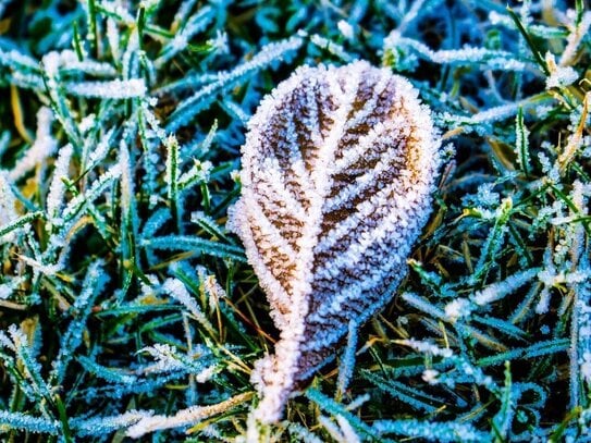 Ein frostiges Märchen mit einem warmen Kern: Willkommen daheim