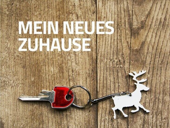 Weihnachtsspezial, im Dezember einziehen, ab Januar zahlen, Singleapartement