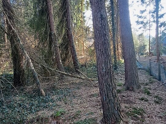 Zivilisationsnahe Natur-Idylle … Baugrundstück im Wochenendhausgebiet in ruhiger Waldsiedlungslage