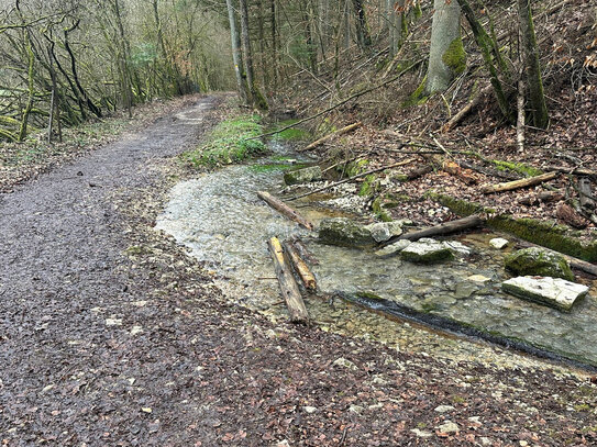 Hobby Wald - Brennholzlieferant - Ausgleichsfläche