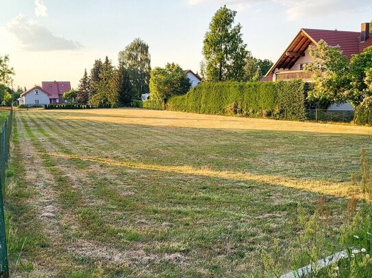 Großes Baugrundstück - idyllisch gelegen mit positivem Bauvorbescheid in Bad Muskau *PROVISIONSFREI*