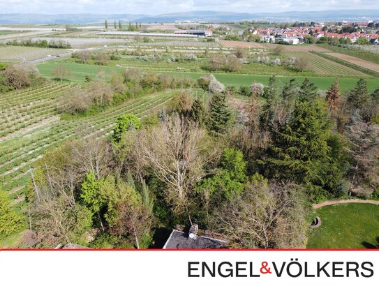 Exklusives Baugrundstück mit fantastischem Blick zum Taunus in Mainz Lerchenberg