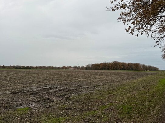 Pachtfreie Ackerfläche in Ahaus-Ottenstein "Neue Land" zu verkaufen!