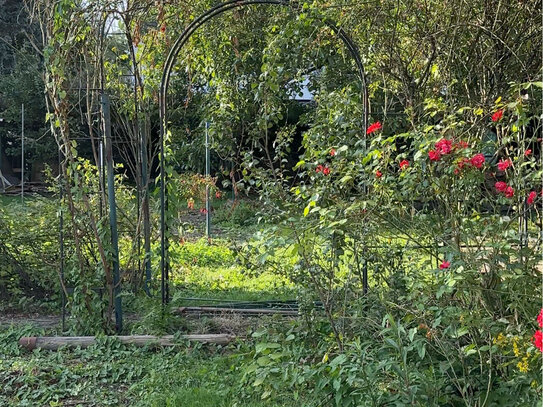 Der Traum vom Neubau! Baugrundstück in Baesweiler Nähe Reyplatz zu verkaufen!