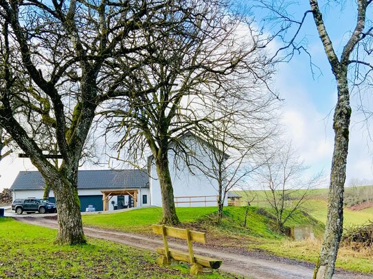 EIN TRAUM für Tierliebhaber!! Einmalige Alleinlage, komplett sanierte Villa mit zusätzlicher Ferienwohnung, neu gebaute…