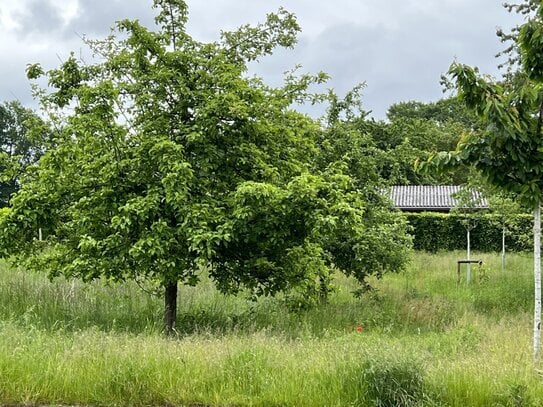 Schönes Südwestgrundstück mit weitem Blcik