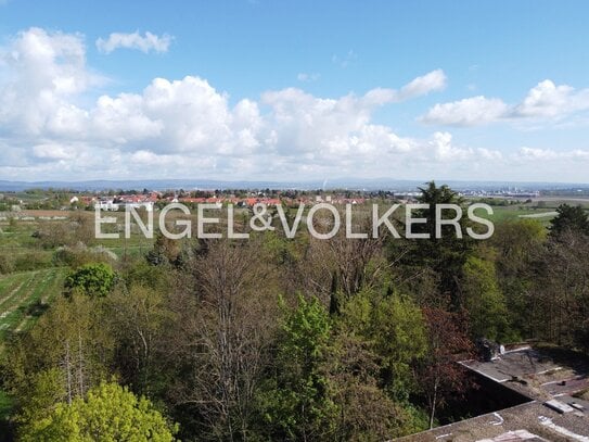 Exklusives Baugrundstück mit fantastischem Blick zum Taunus in Mainz Lerchenberg