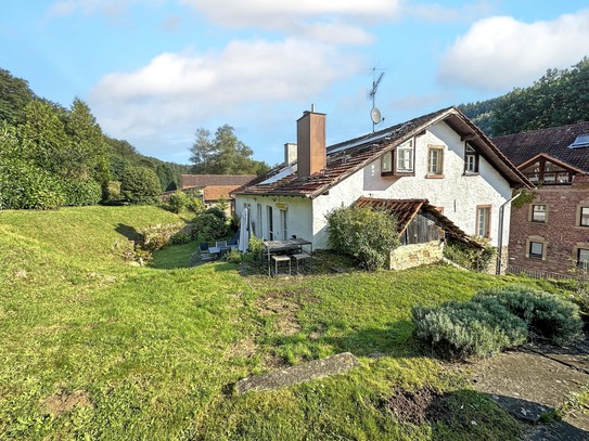 Neckargemünd: Großzügiges-Freistehendes Ein/Zweifamilienhaus mit Charme und schönem Garten