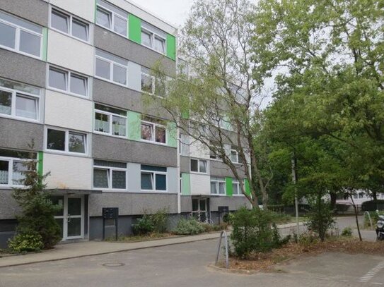 Frisch renovierte 4,5 Zimmerwohnung an berufstätige Familie abzugeben