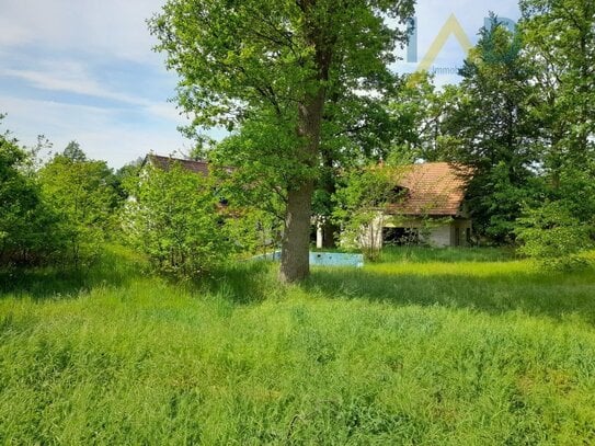 Nachhaltiges Biohotel als Jungbrunnen im Wendland