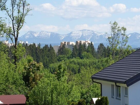 Helle 2-Zimmer DG - Wohnung mit Gartenanteil Sondernutzung in Wangen-Herfatz zu verkaufen