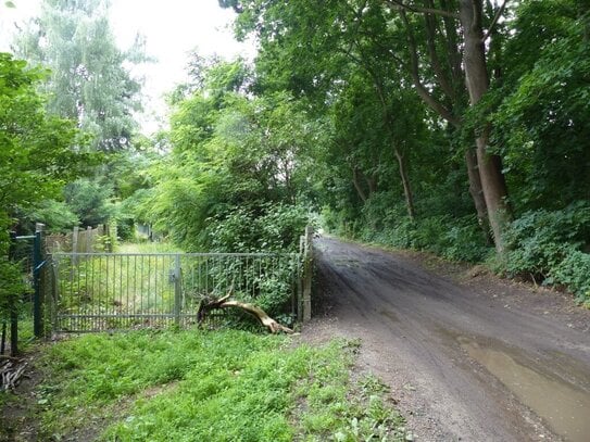 Auktion - Vertragsfreies Erholungsgrundstück mit Bungalow in Körbiskrug