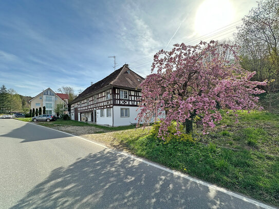 Traum am Bodensee zur Selbstverwirklichung