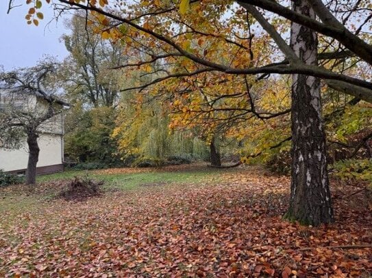 Machern: Bauen am Schlosspark - Exklusiv Wohnen